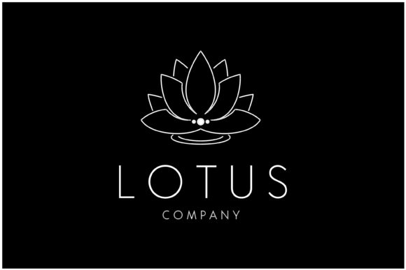 Beauty Lotus Flower on Black Background