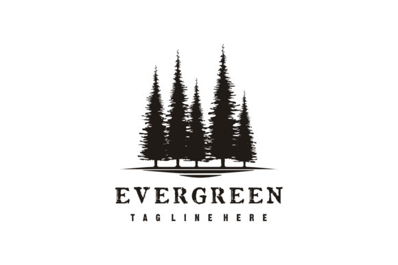 Retro Vintage Pine, Evergreen, Fir Tree: Timeless Designs for Modern Creatives