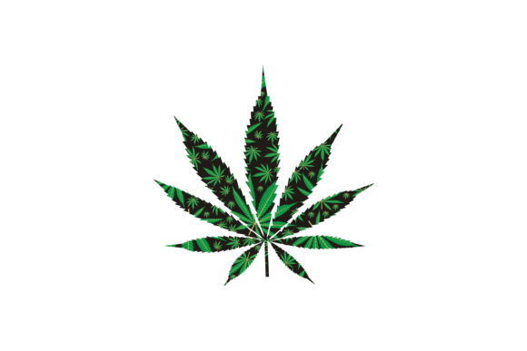 Single Hemp Pot Marijuana Cannabis Leaf – What You Need to Know Before Using It